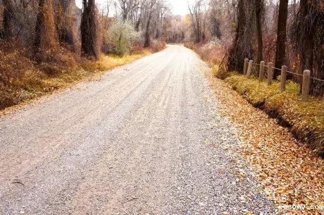 旅游景区道路与游步道设计建议