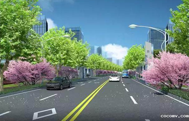 道路绿地设计原则与树种选择